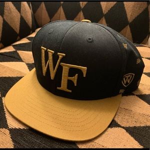 Wake Forest Top of the World Cap